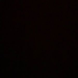 Meet your Posher, Dylan